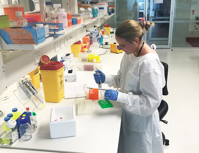 a researcher works at a bench with a pipette
