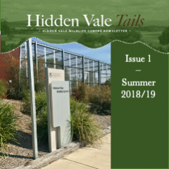 Hidden Vale Tails Issue 2 Summer 2018