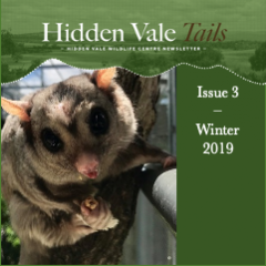Hidden Vale Tails Issue 3 Winter 2019