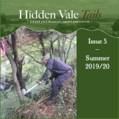 Hidden Vale Tails - Issue 5 Summer 2020