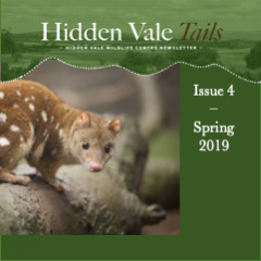 Hidden Vale Tails Issue 4 Spring 2019